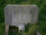 image of grave number 19640